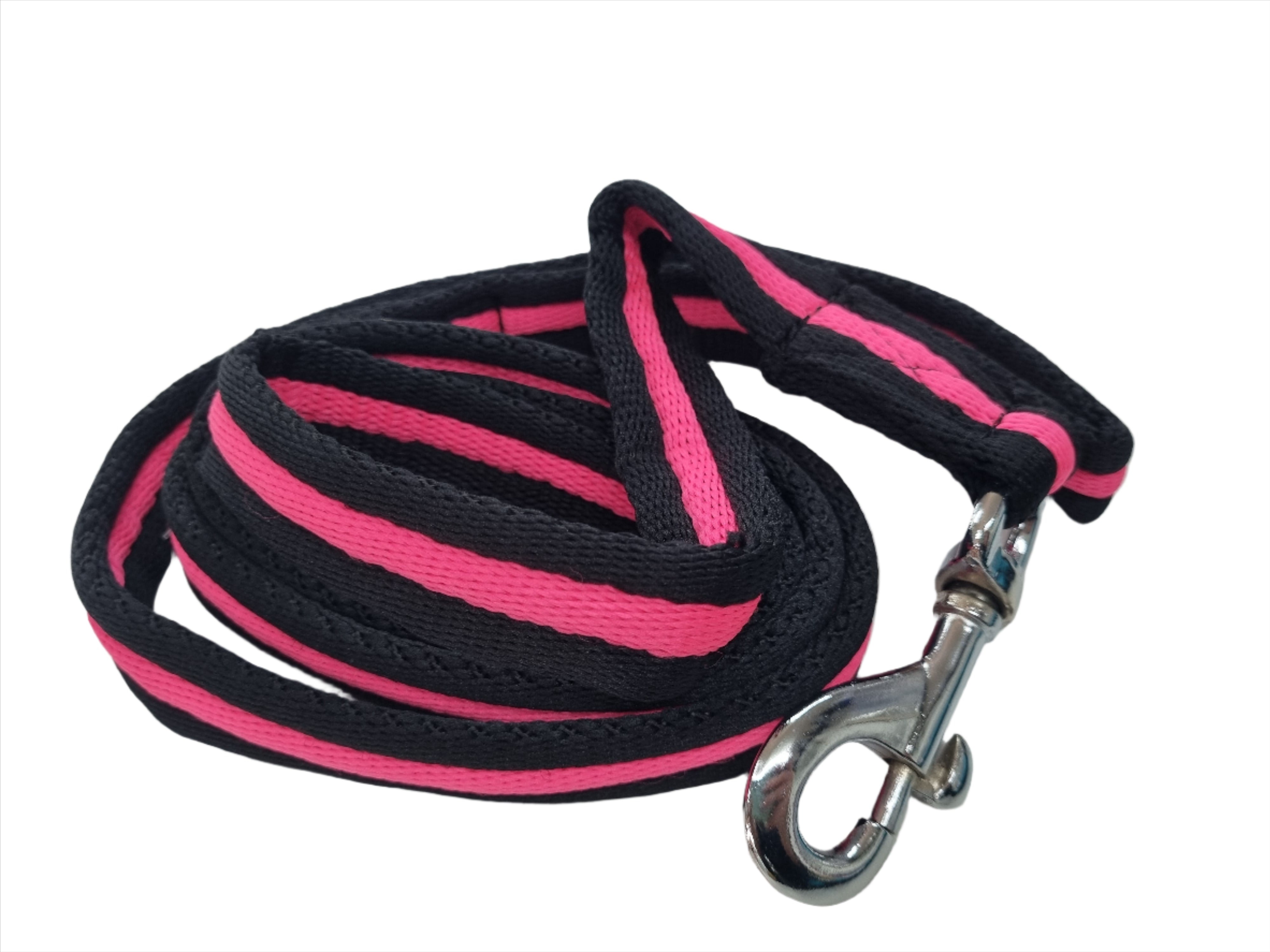 Lunge Lead Web Padded Solo